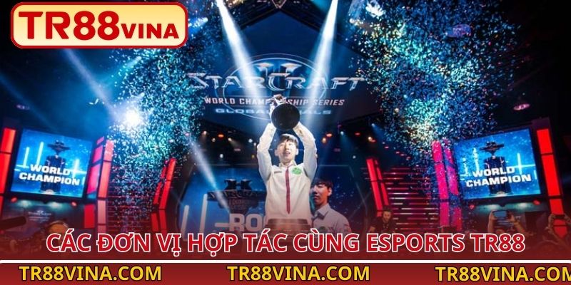 Các đơn vị hợp tác cùng Esports TR88