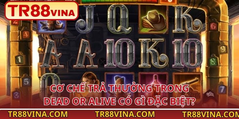 Cơ chế trả thưởng trong Dead or Alive có gì đặc biệt?