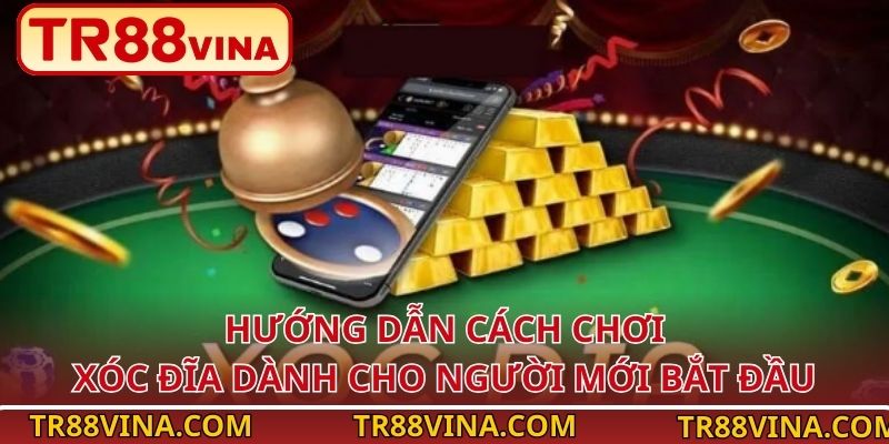 Hướng dẫn cách chơi Xóc Đĩa dành cho người mới bắt đầu