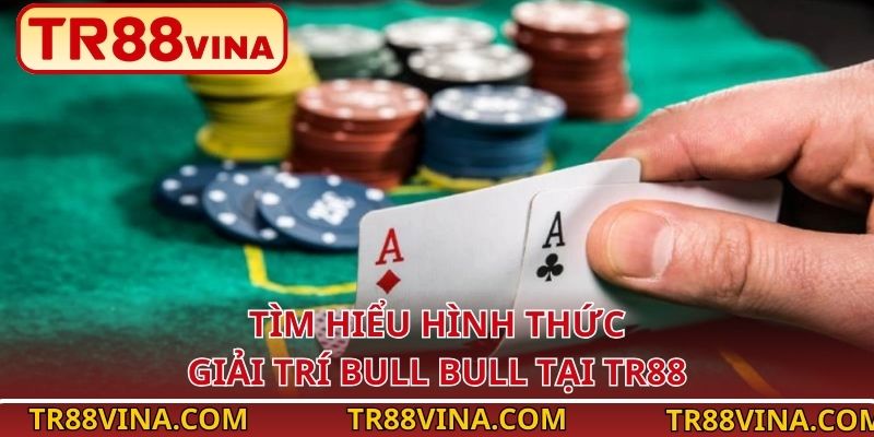 Tìm hiểu hình thức giải trí Bull Bull tại TR88