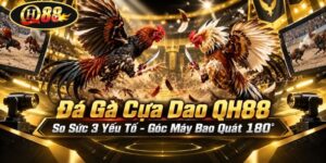 Đá Gà Cựa Dao QH88 | So Sức 3 Yếu Tố - Góc Máy Bao Quát 180°