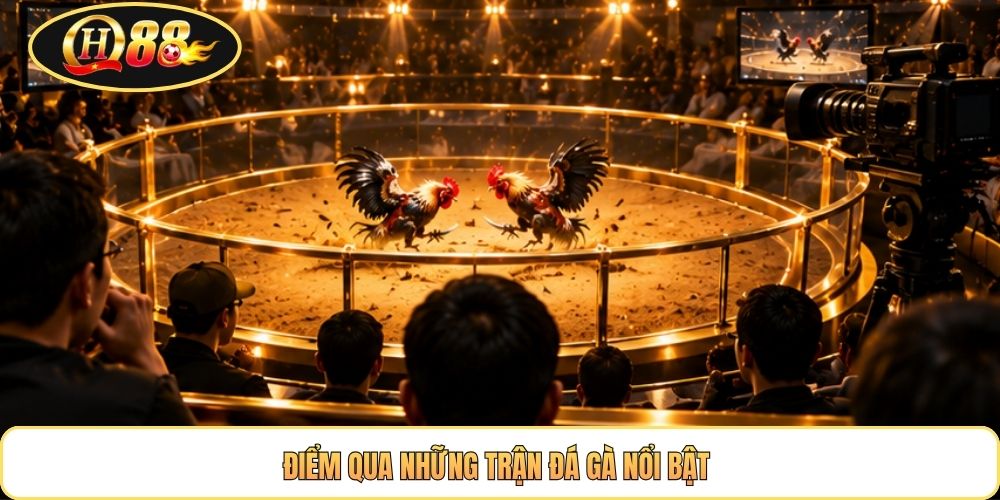 Điểm qua những trận đá gà nổi bật 